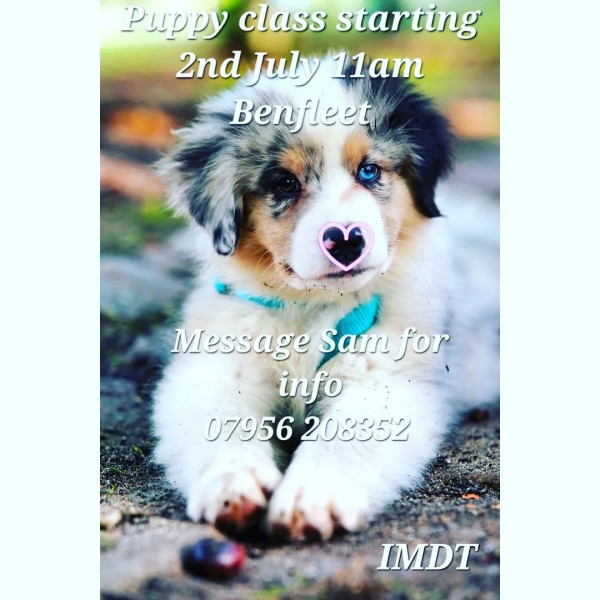 BESPOKE 121 PUPPY TRAINING